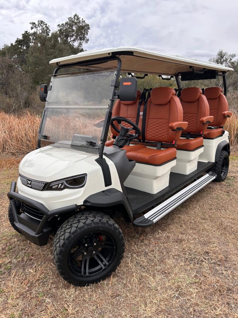 WhatsApp Image 2026-02-11 at 14.32.21